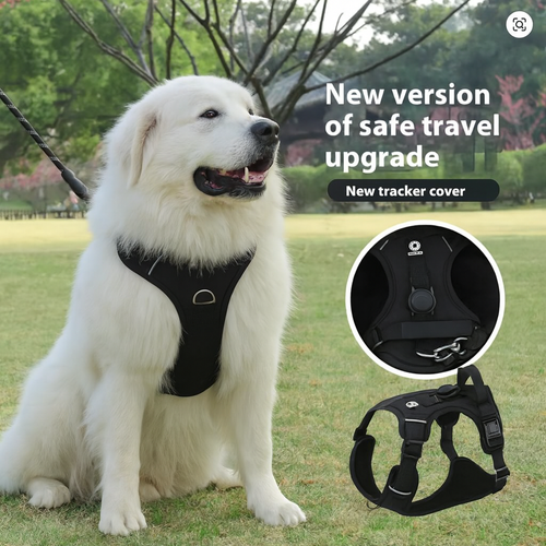 No Pull Buddy [Free Today]