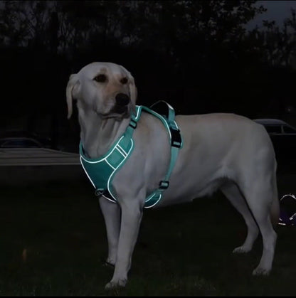 No Pull Buddy [Free Today]