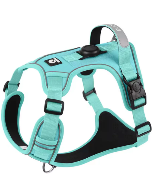 No Pull Buddy [Free Today]